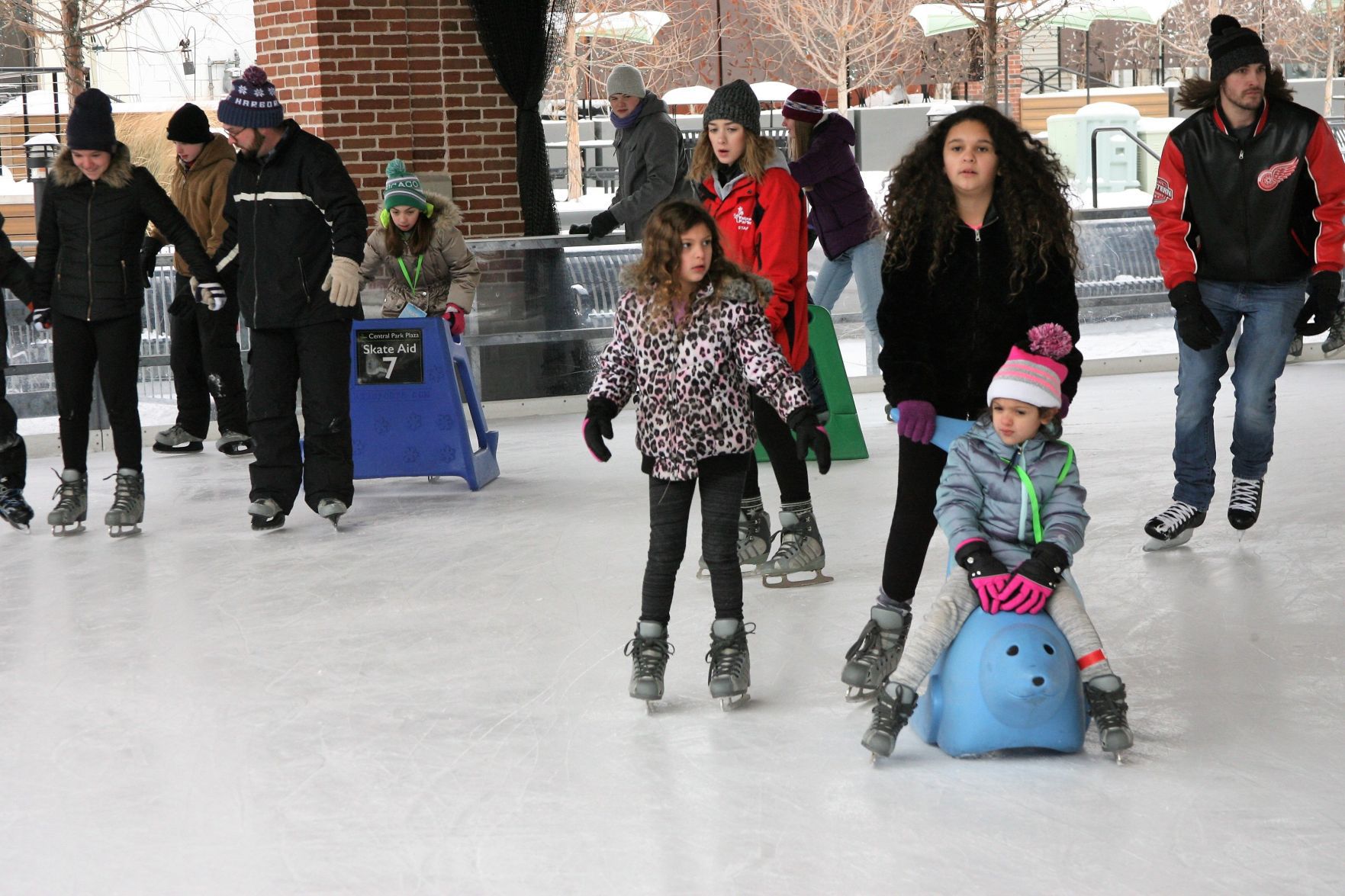 Open Skate and Open Hockey